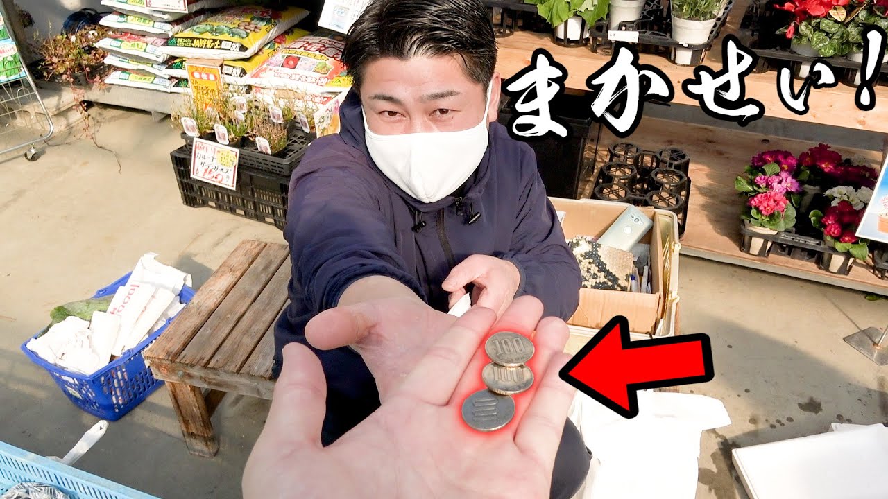 魚のプロに300円差し出したら、すごい海鮮セットが買えた！