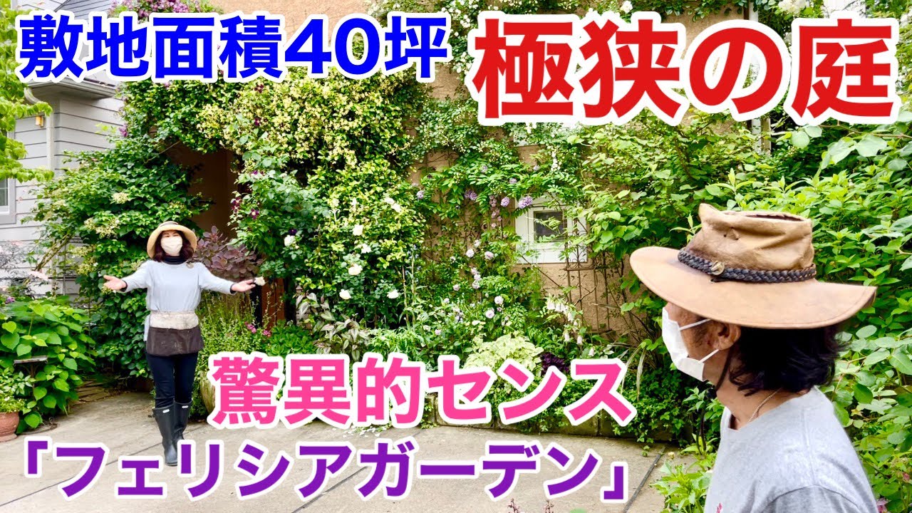【狭い庭必見】狭い庭で極上のお庭はできます！　　　　　【カーメン君】【園芸】【ガーデニング】【個人庭】【フェリシアさん】