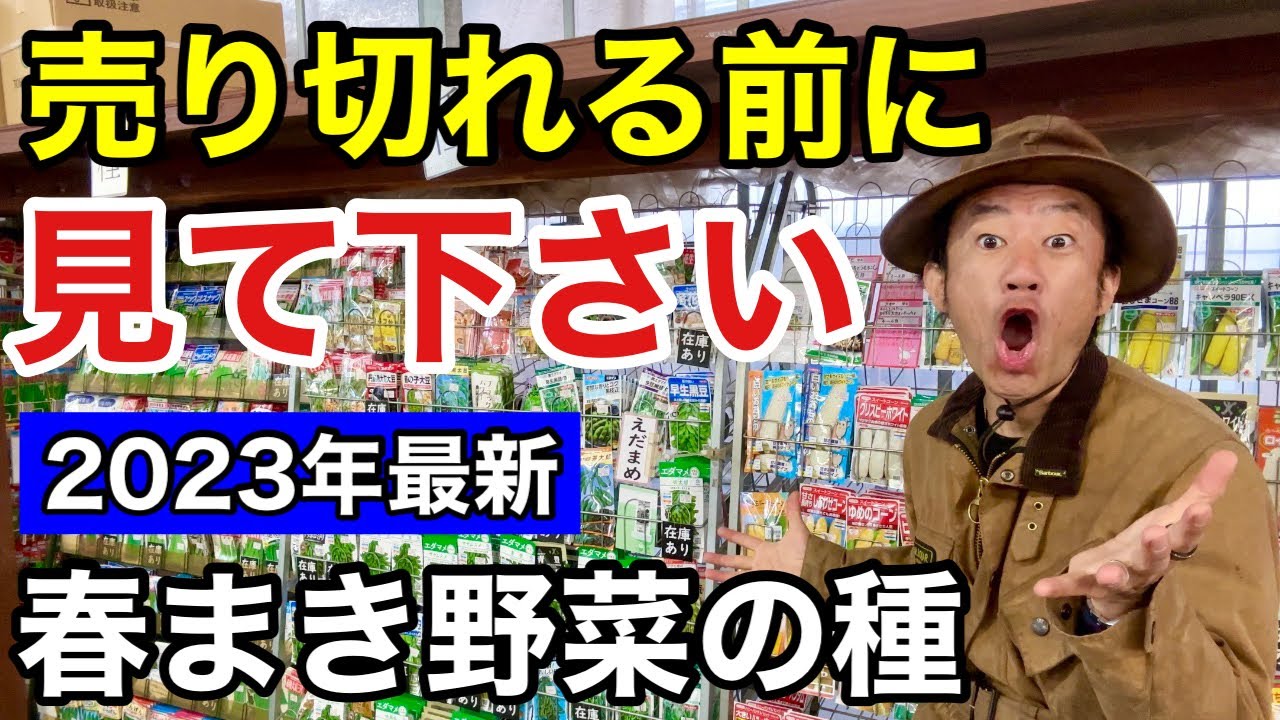 【急げ！急げ！急げ！】今年おすすめ夏野菜の種教えます　　　【カーメン君】【園芸】【初心者】