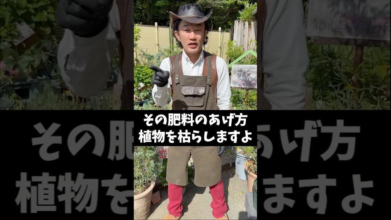 ９割間違えている肥料のあげ方　 #shorts #散水 #タカギ #カーメン君
