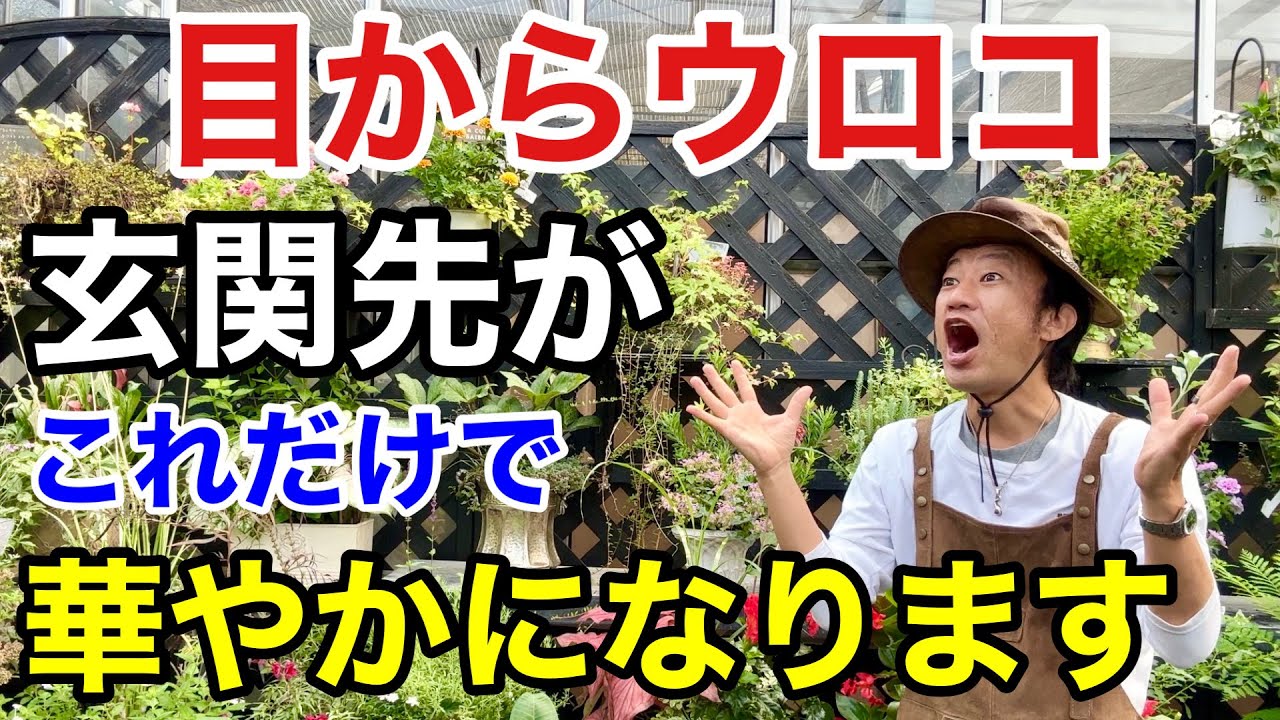 【誰でもできます】玄関先を飾る絶対テクニック教えます　【カーメン君】【園芸】【ガーデニング】【初心者】