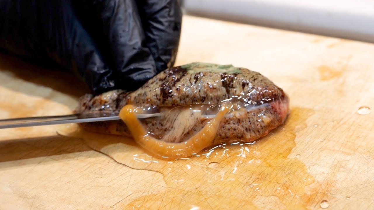 大量のナマコを見つけたので、あの料理にリベンジしました！