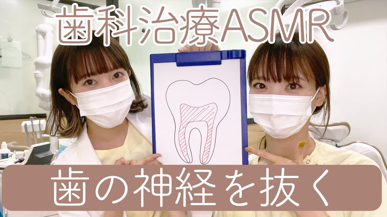 【ASMR】歯の神経を抜く治療(抜髄)のロールプレイ【歯医者】