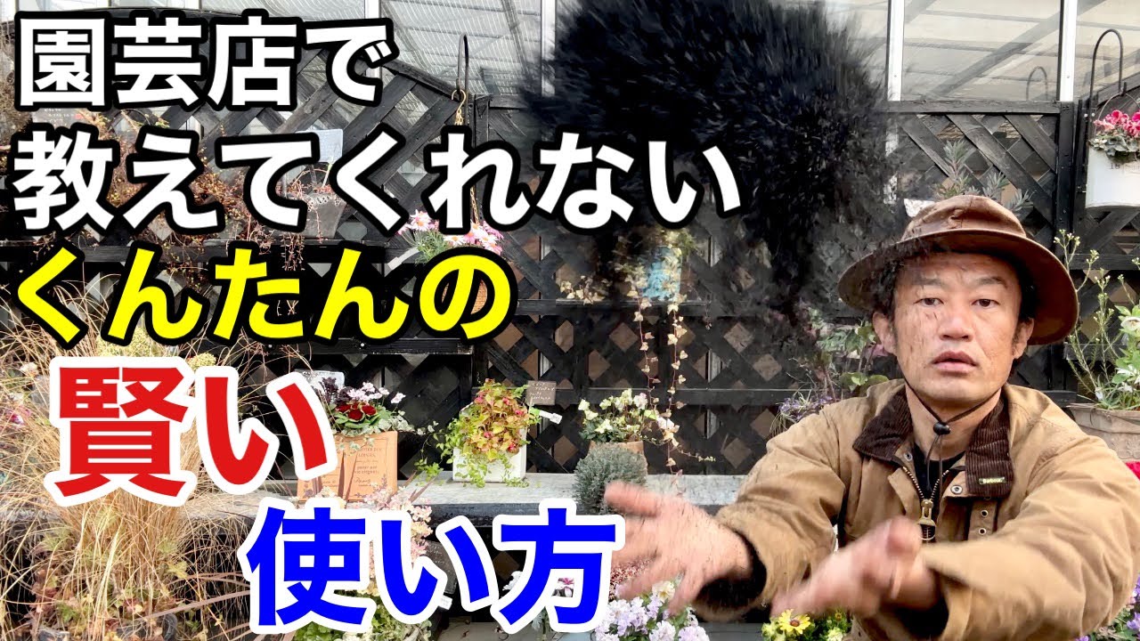 【早く気づいて】籾殻くんたんは究極の改良材になります　　　　　　　　　　　　　【カーメン君】【園芸】【ガーデニング】【初心者】