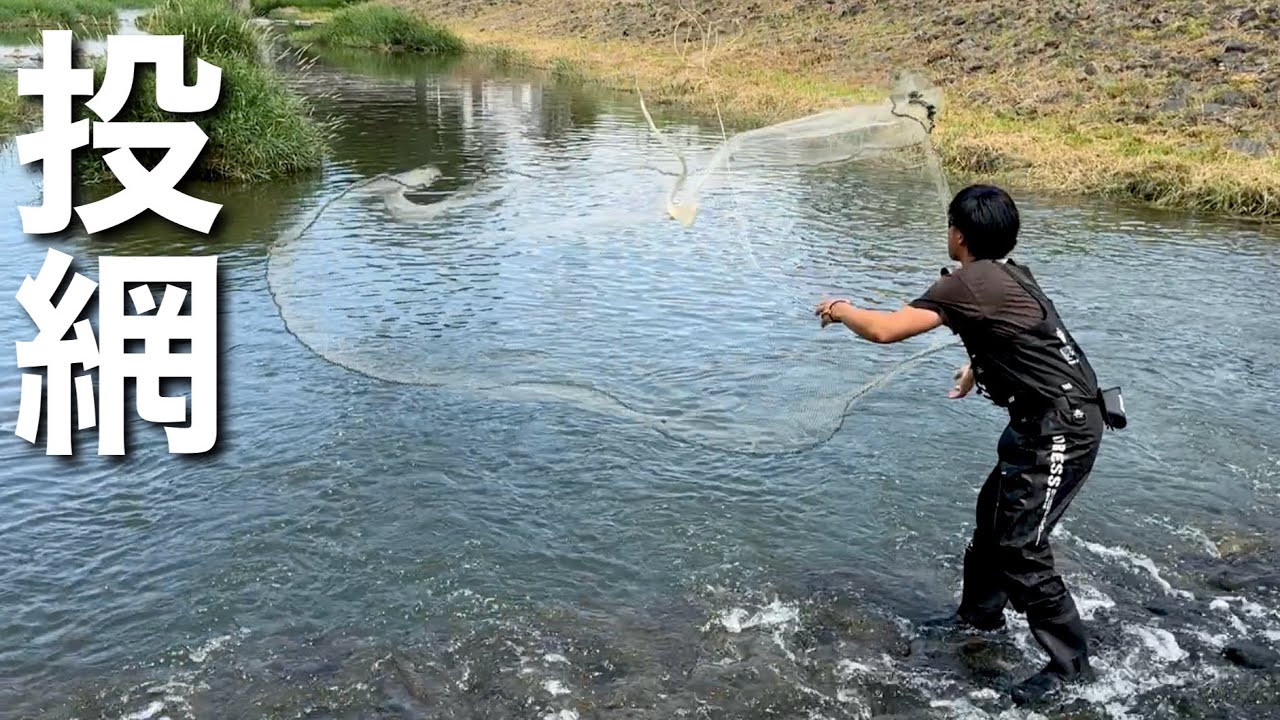 外来種だらけの川の流れ込みに投網を投げると・・・！
