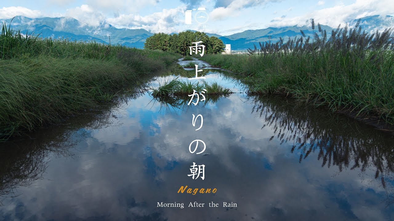【風景写真】雨上がりの田舎の風景。雨が作り出す景色を撮り歩く。｜信州