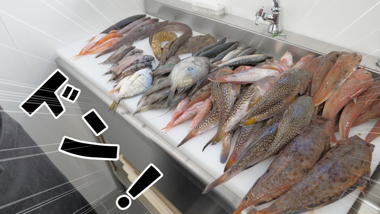 1000円でありえない量の高級魚が買えてしまいました。