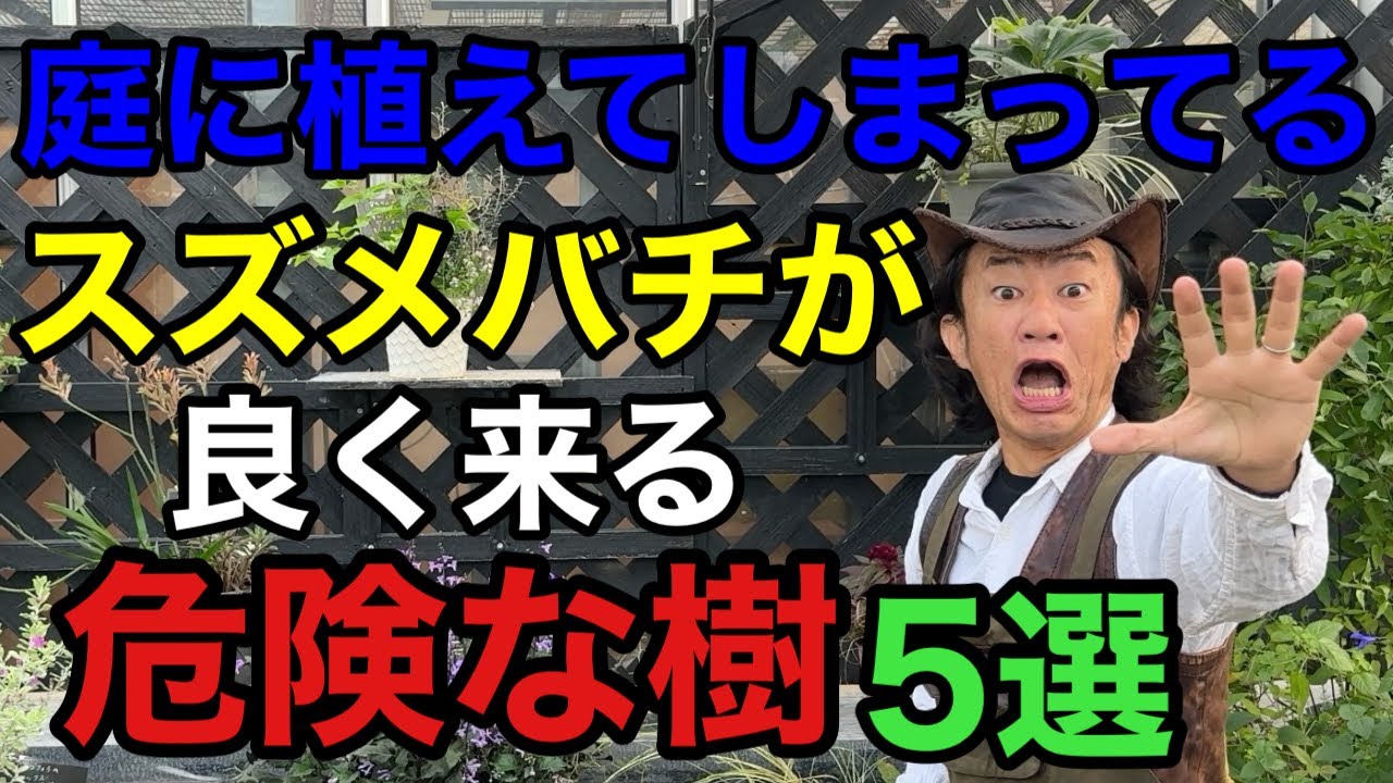 【確認ください】庭のその樹にはスズメバチが来るので気をつけて下さい　　　　　【カーメン君】【園芸】【ガーデニング】【初心者】