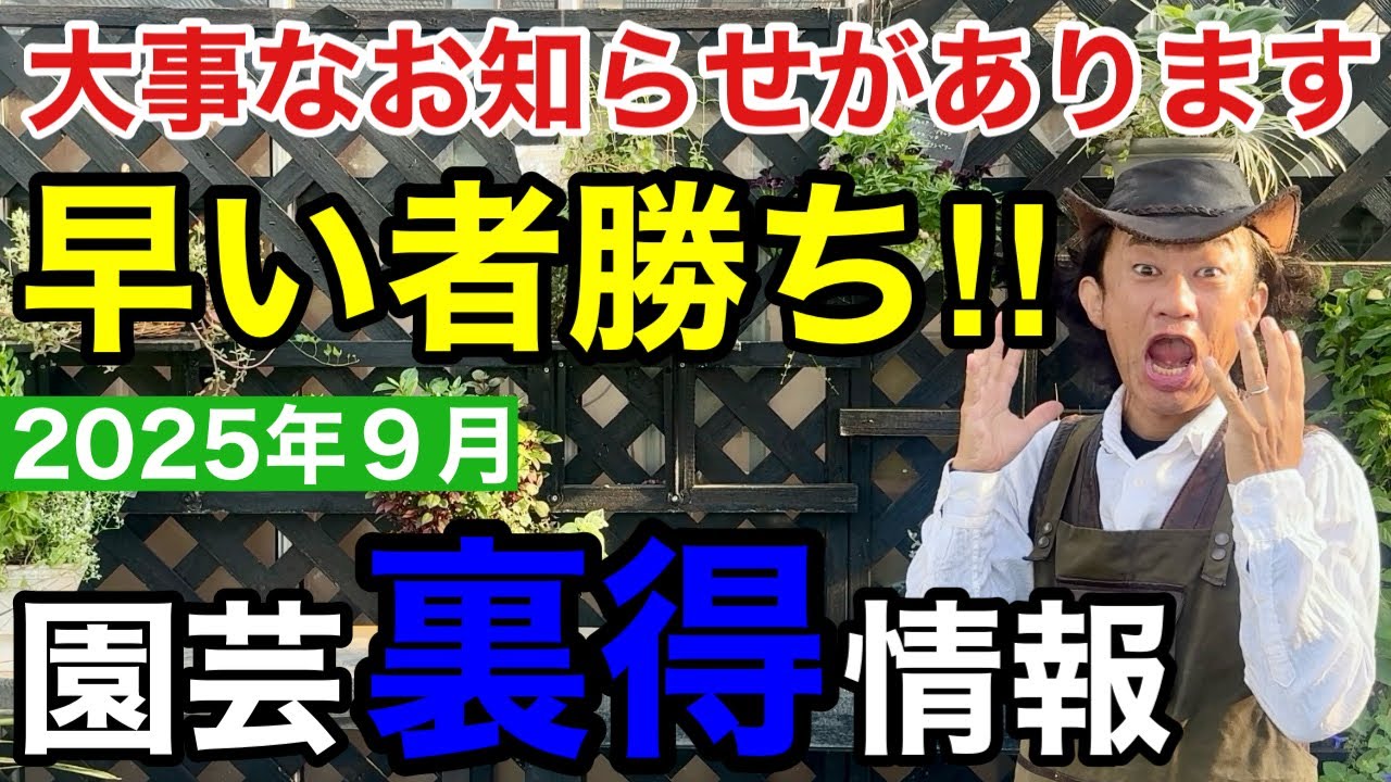 【９月の最新園芸情報】本日９月から〇〇をどんどん販売します！　　　　　　　　【カーメン君】【園芸】【ガーデニング】【初心者】