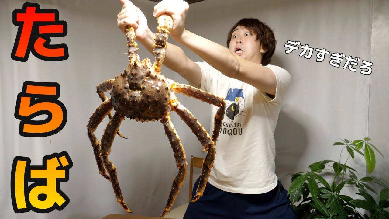 巨大タラバガニの固い殻を一瞬で剥く方法はこれだ！！【タラバガニのさばき方】
