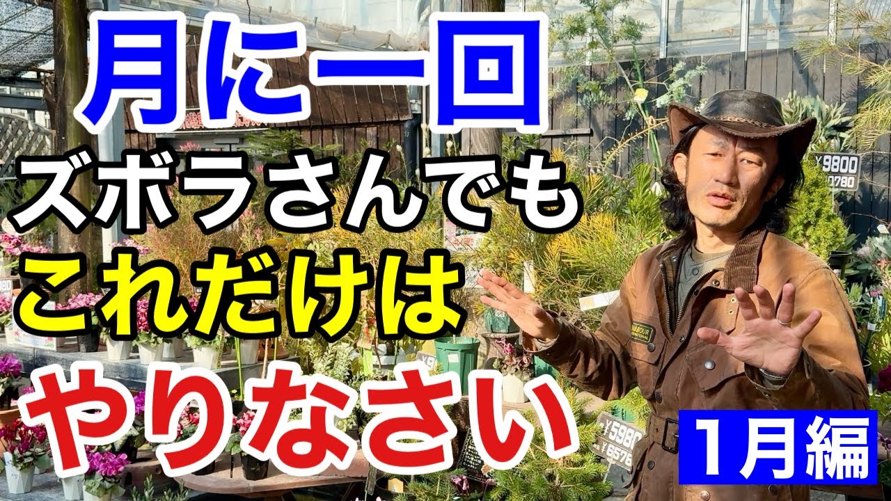 冬の園芸作業は大変ですがこれだけはやっておいて下さい　　【カーメン君】【園芸】【ガーデニング】【初心者】