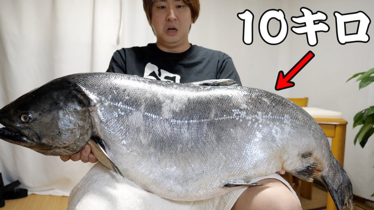 10000尾に一匹。とんでもない『天然のサーモン』を買ってしまいました。