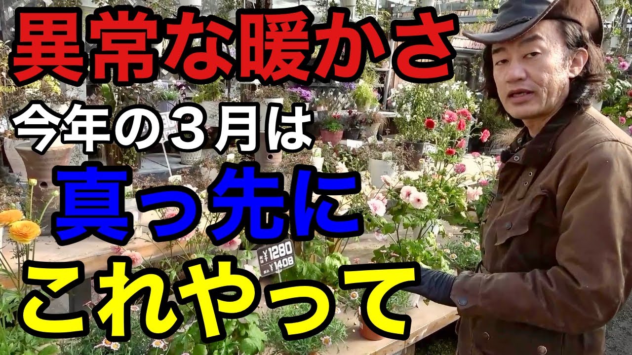 【3月の園芸作業】やらないと2ヶ月後必ず差が出ます　　　【ガーデニング】【初心者】