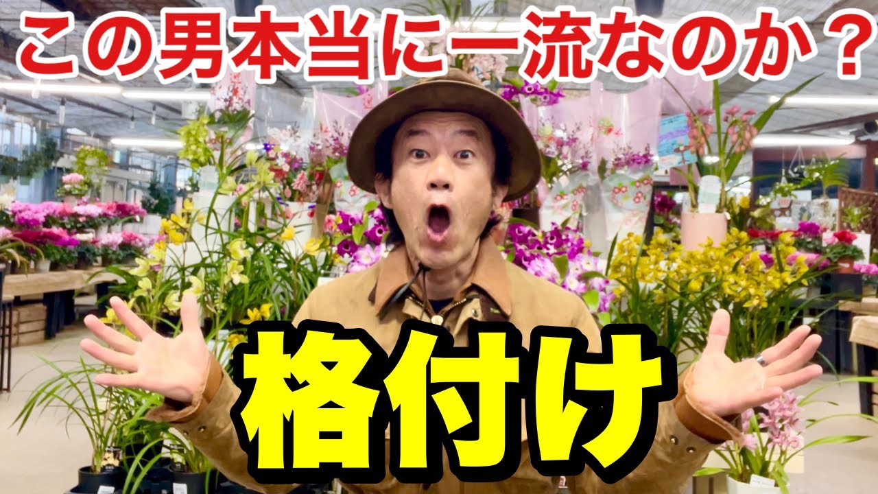 【一流疑惑】この男の実力が今回で証明されます。　【カーメン君】