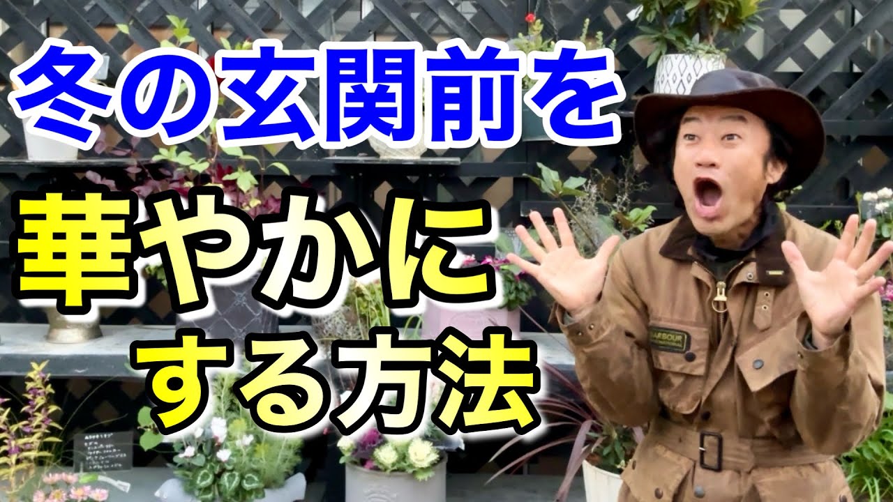 【誰でもできる】今日から玄関前が見違えるほど華やかになります　　　　【カーメン君】【寄せ植え】【方法】