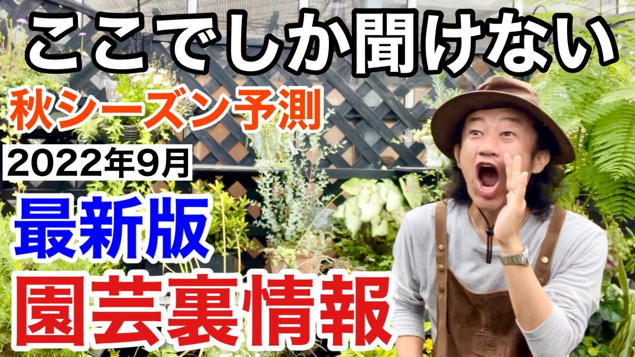 【これはピンチかも】損させない買い物裏情報話します　　　　【カーメン君】【ガーデニング】【初心者】