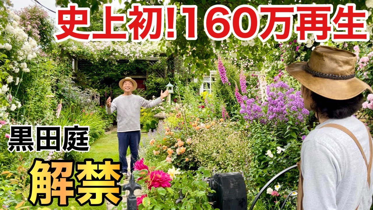 【お待たせしました！】鳥肌が止まらない春の黒田庭公開します　　　　　【カーメン君】【園芸】【ガーデニング】【個人庭】