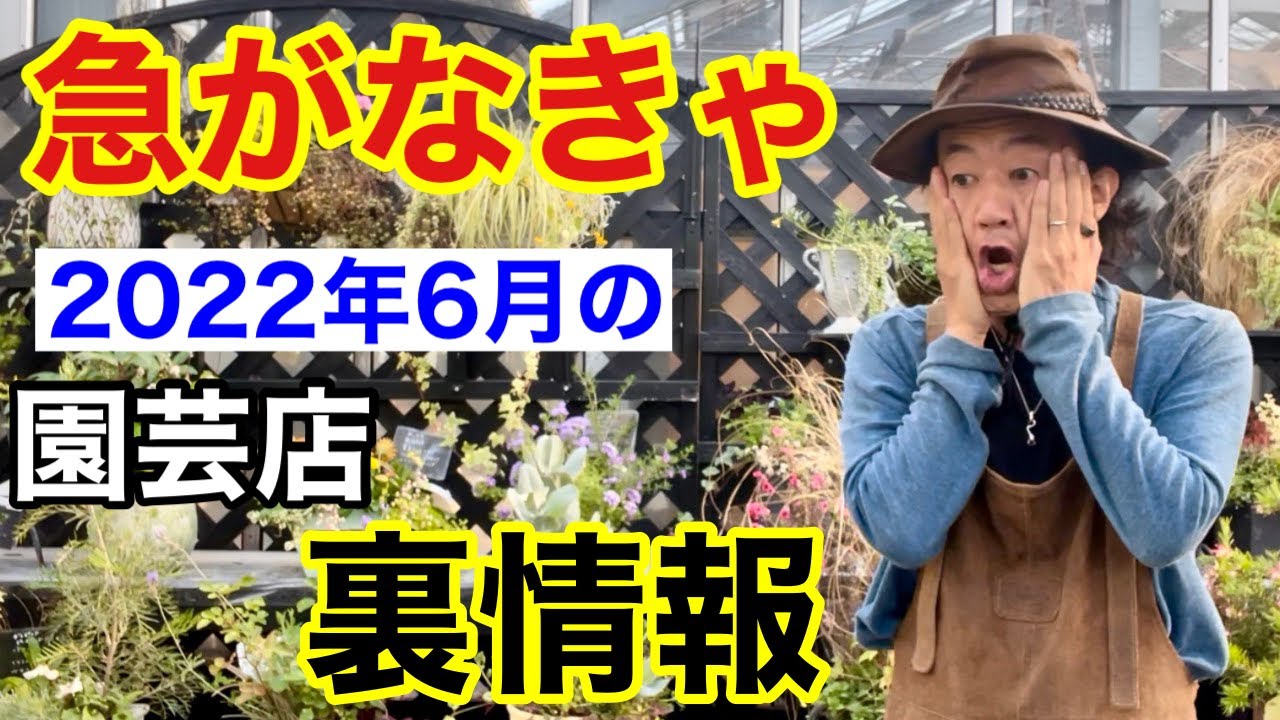 【あれこれ入荷！】元店長が2022年6月の園芸裏情報バラします　　　【カーメン君】【園芸】【ガーデニング】【初心者】