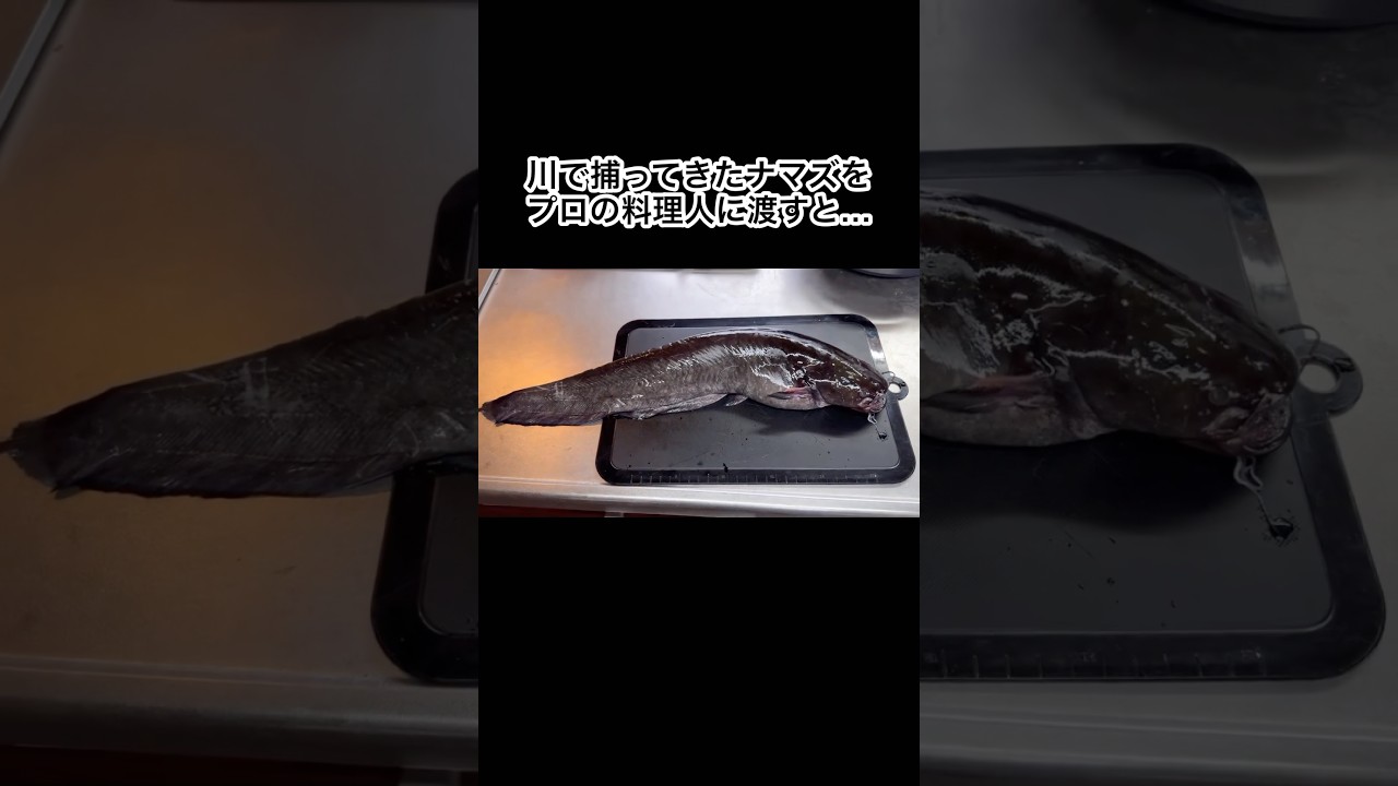 川で捕ってきたナマズをプロの料理人に渡すとこうなる #shorts