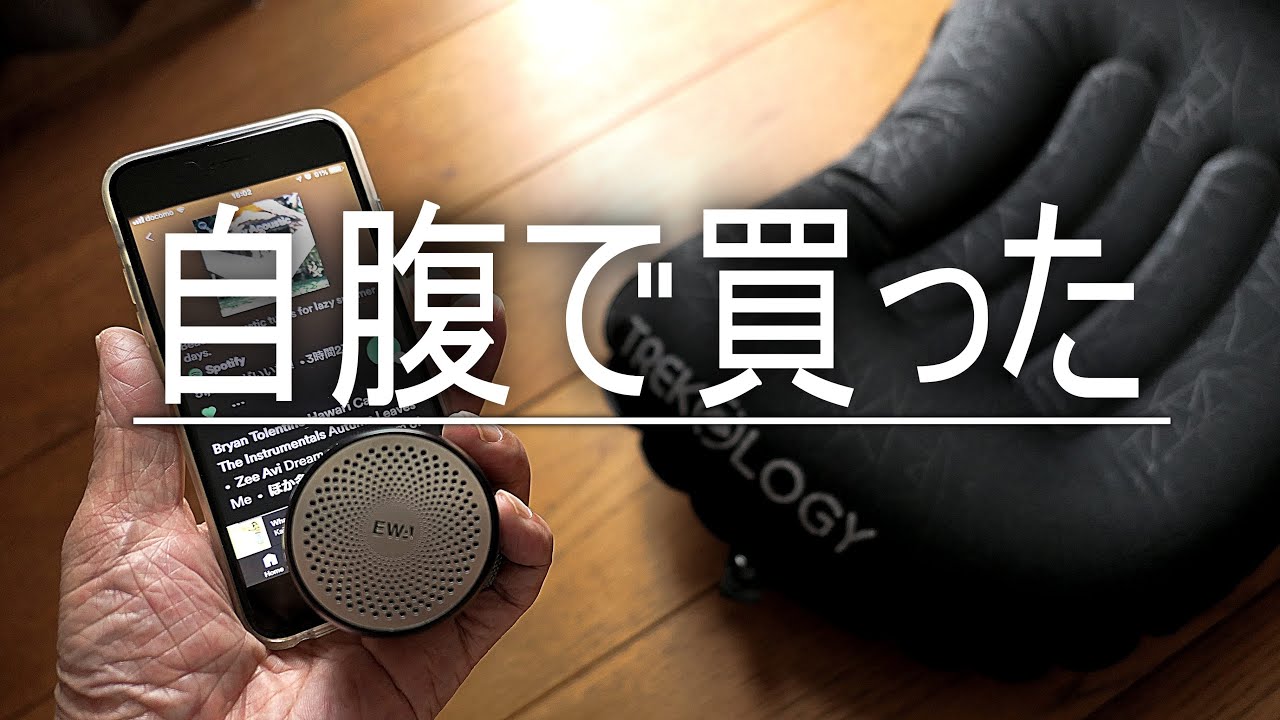 めっちゃ欲しいから買ってしまった。