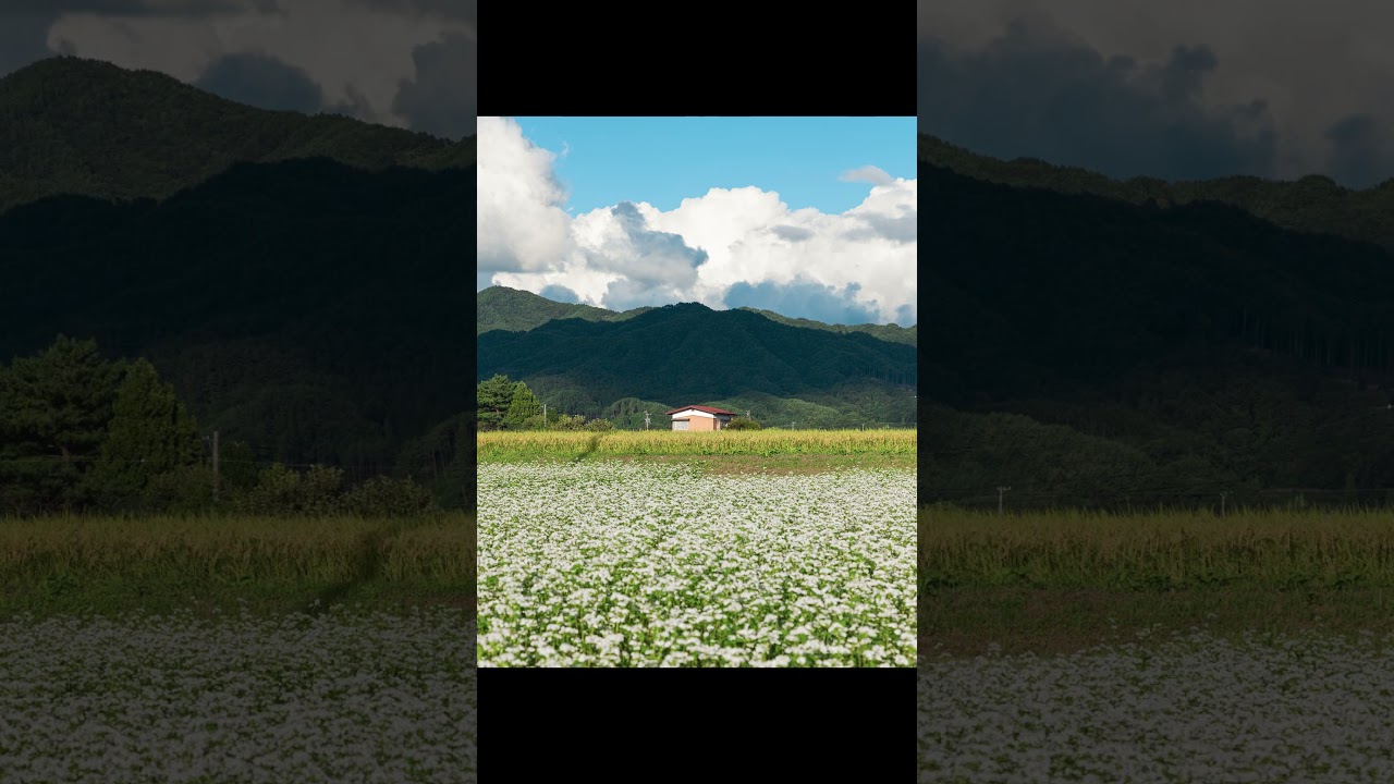 【風景写真】田舎町の秋の美しい風景たち
