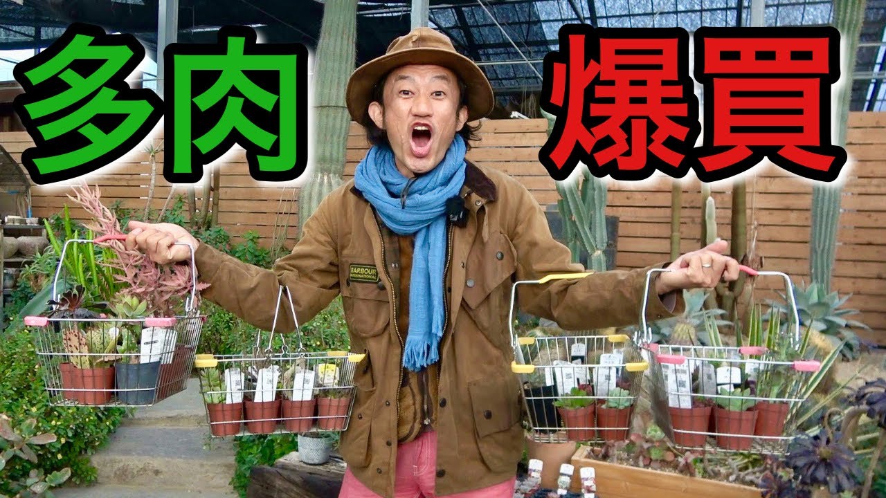 多肉植物を大量に購入しました　【カクト・ロコ】【カーメン君】【園芸】【ガーデニング】【初心者】