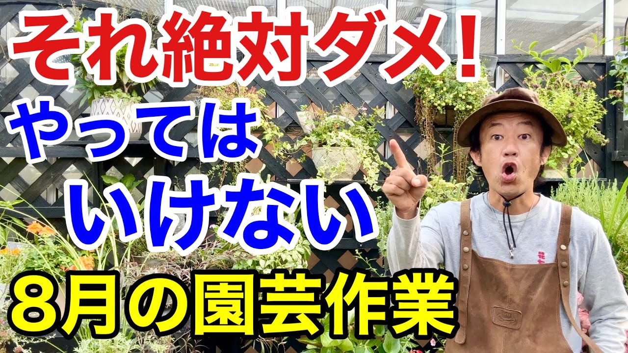 【絶対チェック】猛暑にこれだけはやってはいけません　　　　　【カーメン君】【園芸】【ガーデニング】【初心者】