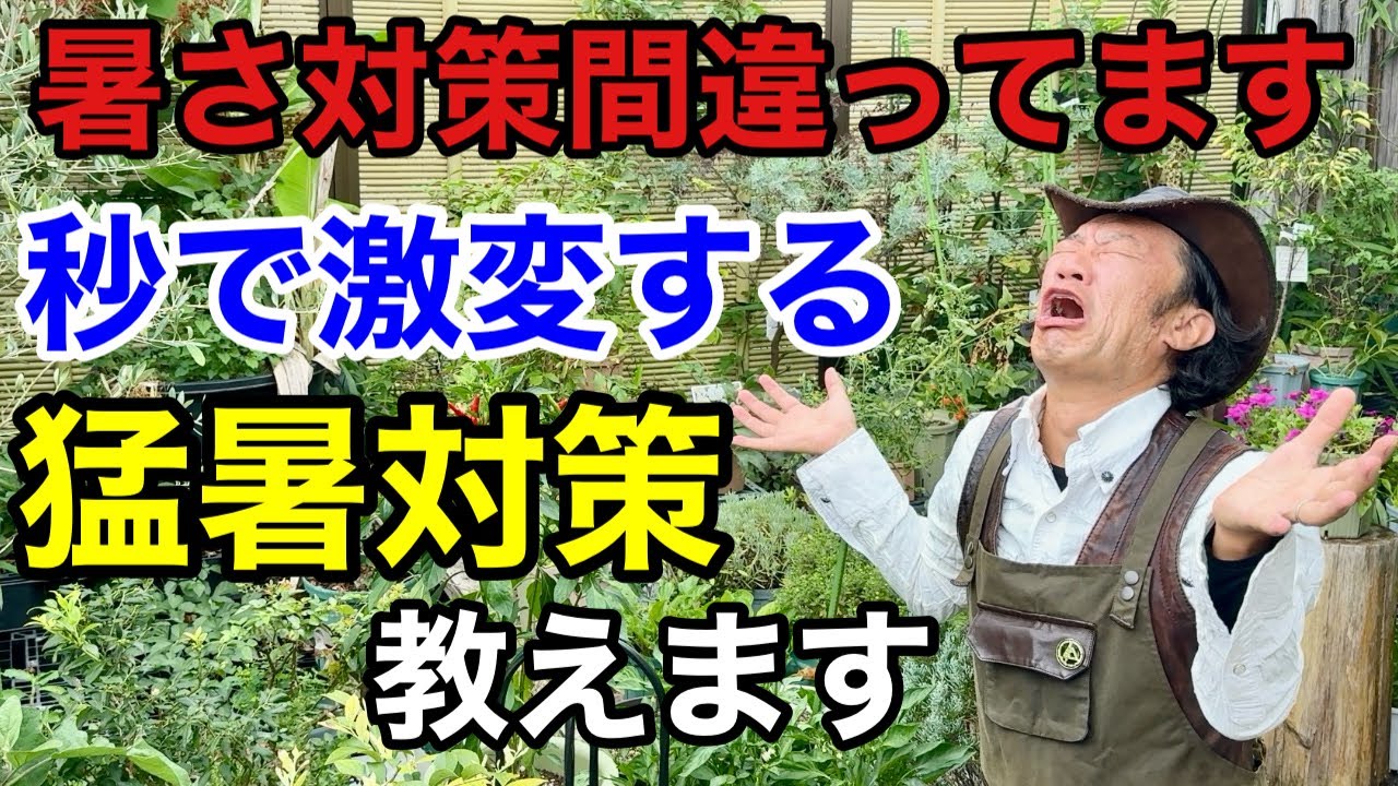 【これなら枯れない】誰でもできる植物の猛暑対策教えます        【カーメン君】【園芸】【ガーデニング】【初心者】                