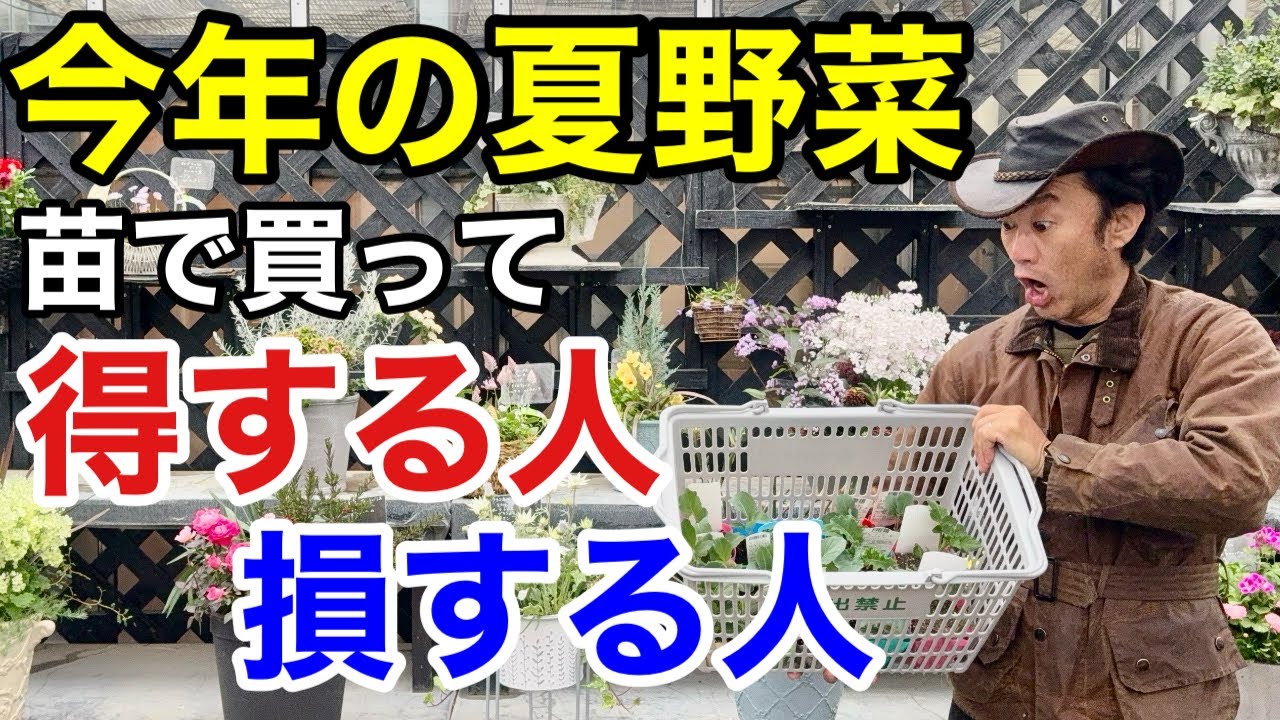【正直に言います】ズバリ〇〇科の苗はもう買うな！　　　　　　　【カーメン君】【園芸】【ガーデニング】【初心者】