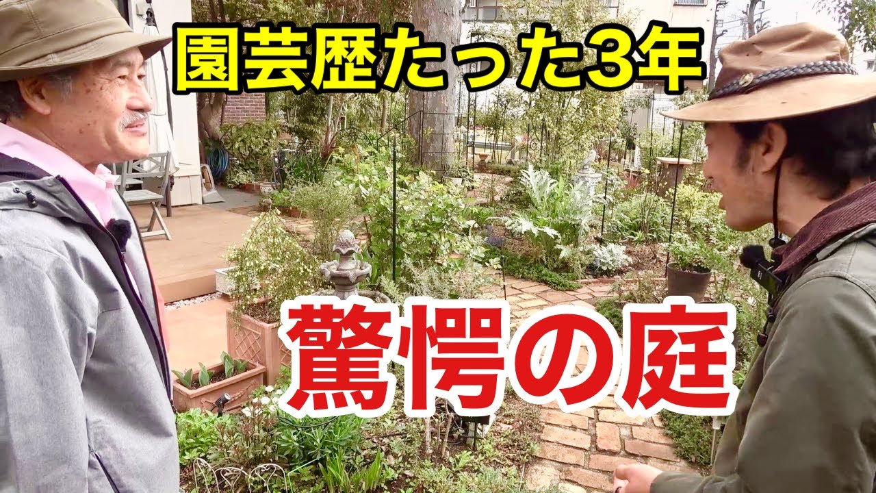 【徹底指導】園芸初心者のあらゆる悩みを解決します【カーメン君貸しました】　　　　　　【ガーデニング】【小川庭】