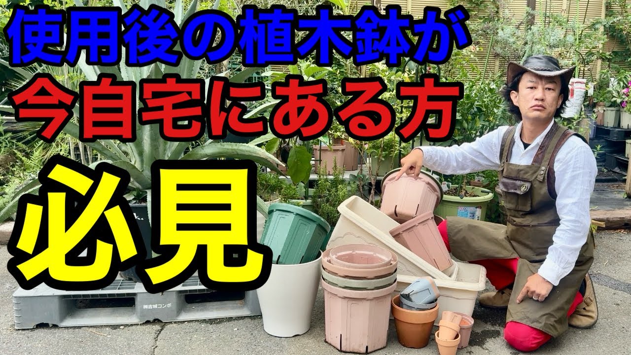 【目からウロコ】余ってる植木鉢の超活用術教えます　　【カーメン君】【園芸】【ガーデニング】【初心者】