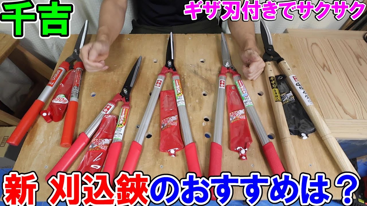 千吉の新しくなったアルミ柄ギザ付刈込鋏や木柄の強力刃刈込鋏を剪定で使ってみたらギザ刃が凄すぎ！
