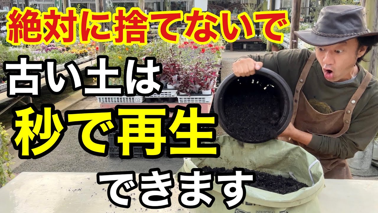 【ふるいや消毒はもう要らない】とんでもなく簡単な古い土の再生法教えます　　　　　【カーメン君】【園芸】【ガーデニング】【超カルスNC-R】
