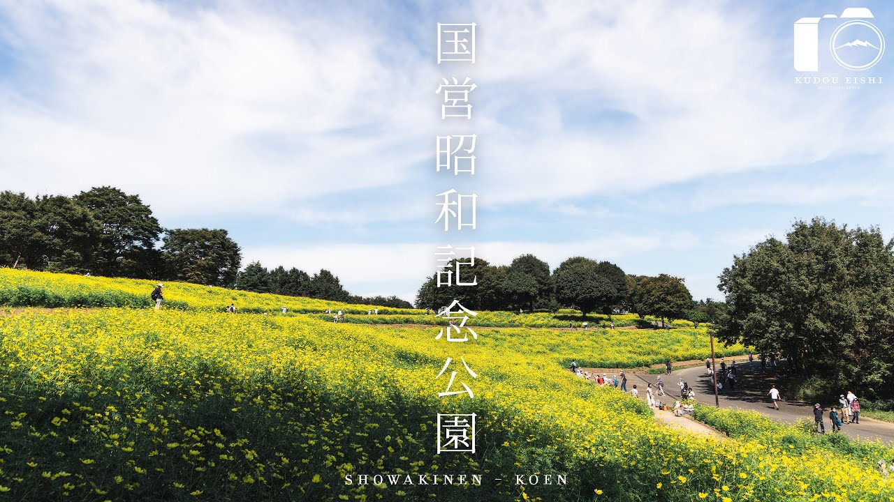 【風景写真】国営昭和記念公園のコスモスと彼岸花