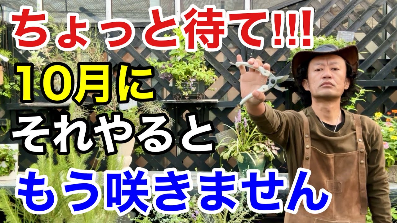 涼しくなってもやってはいけない園芸作業教えます　　【カーメン君】【園芸】【ガーデニング】【初心者】