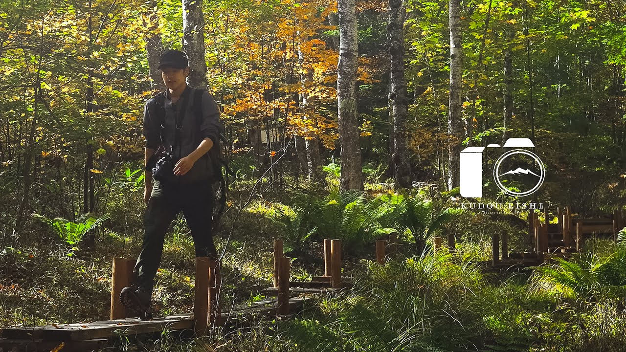 【風景写真】紅葉が始まる初秋の森 - ハイキング | 4K