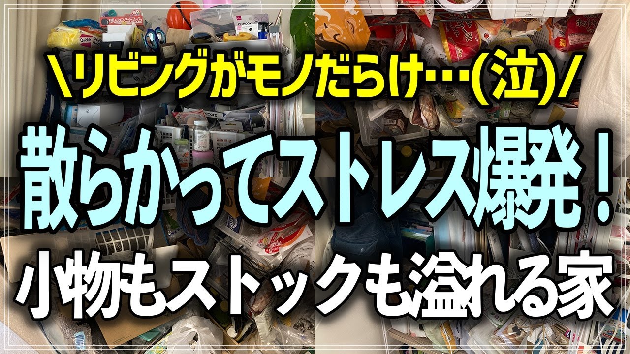 【プロの本気お片付け事例】小物がゴチャつくリビング、ストック品が溢れるパントリーが1日で改善！収納のプロのお片付けビフォーアフター事例