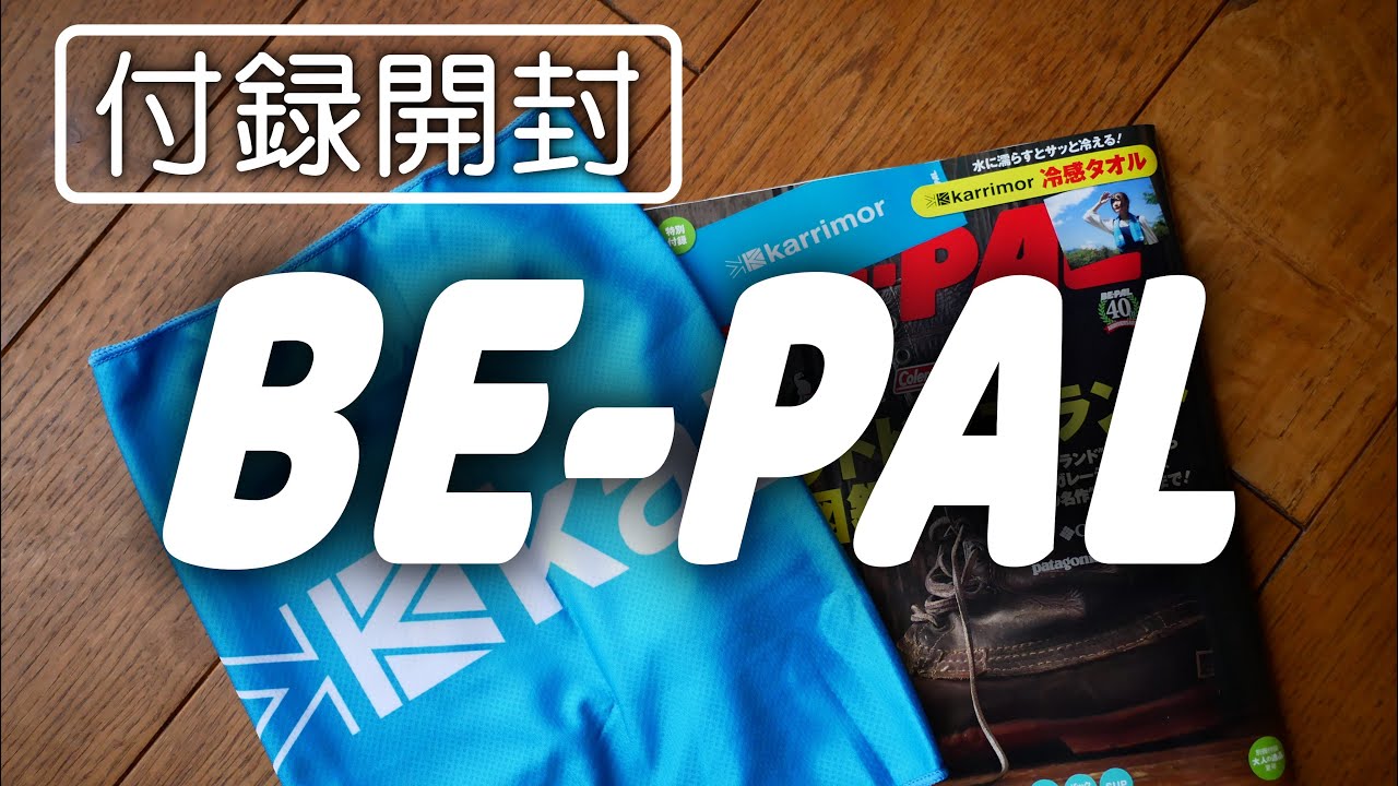BE-PAL8月号付録開封　一年前との違い。
