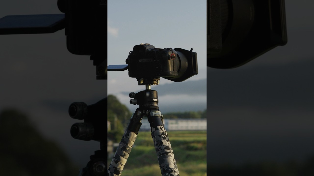 【Shorts】秋の始まりを写す。田舎の朝景色｜RF100mm F2.8 Macro L IS USM【風景写真】 #shorts