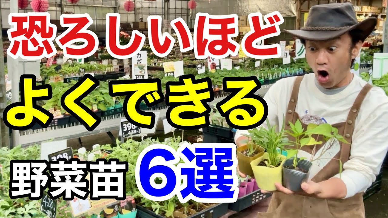 【とりあえず植えとけ！】植えて絶対損しない野菜苗教えます　　　　　　　　　【カーメン君】【園芸】【ガーデニング】【初心者】