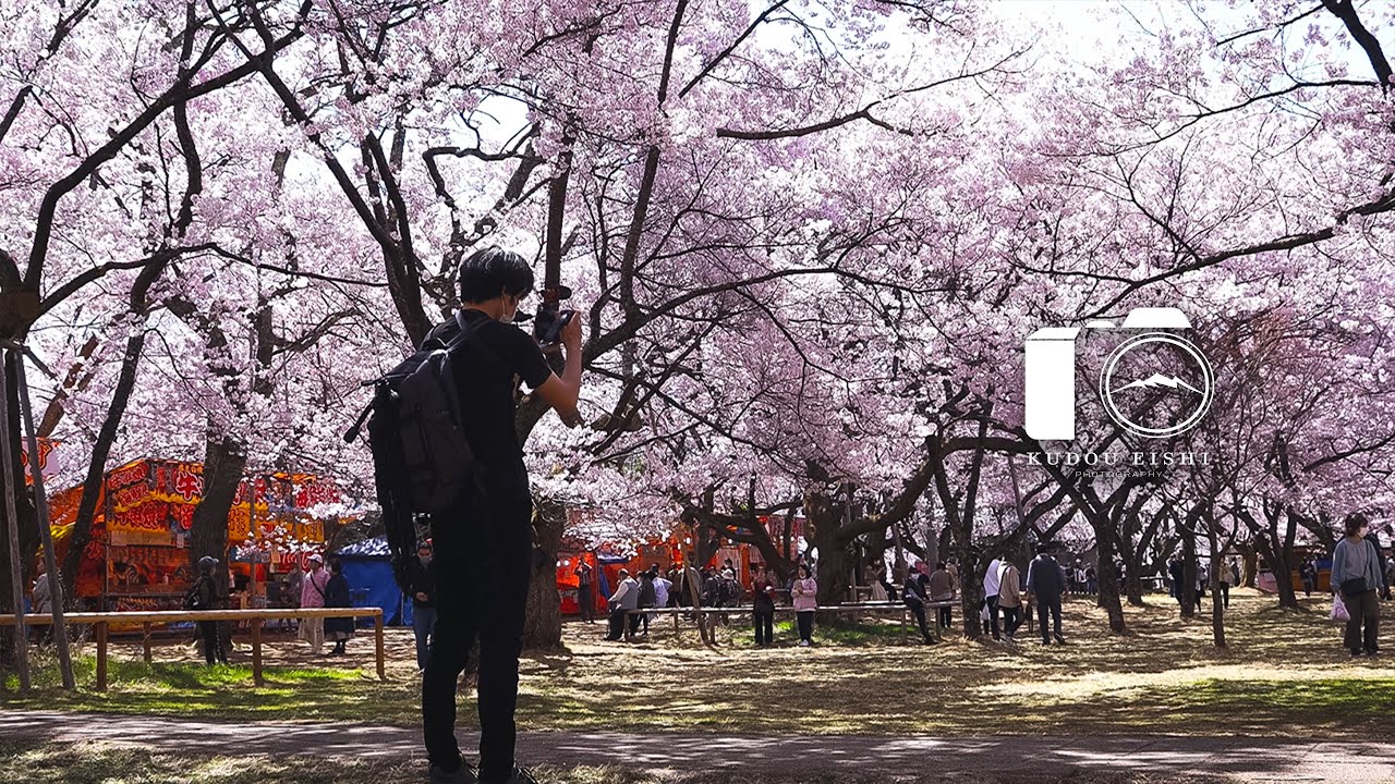 【桜写真】高遠城址公園の満開の桜 - Cinematic Vlog｜EOSR6