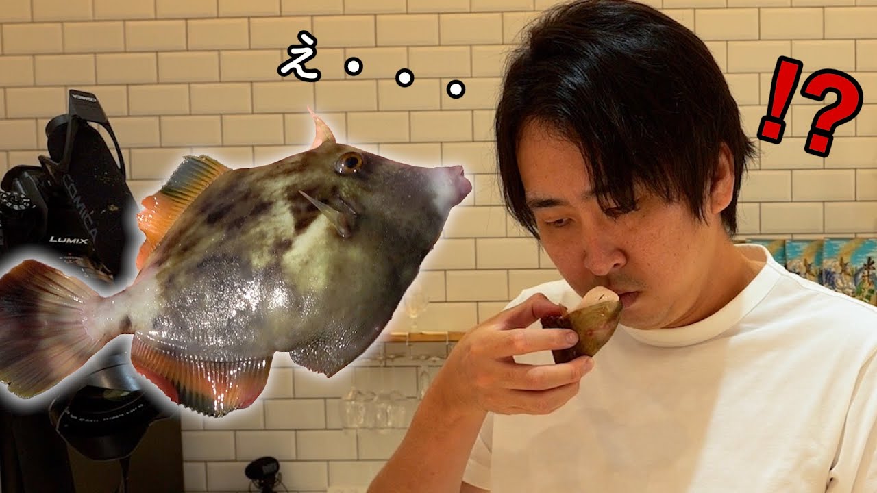 【マイボート】肝パンカワハギが大爆釣！だが、このカワハギ　様子がおかしいですね。