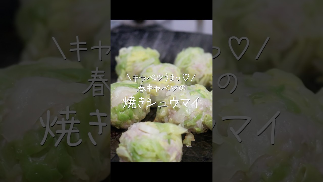【旦那が惚れたおかず】キャベツが主役！？罪悪感なしなのに美味しいヘルシー焼売 #shorts  #シュウマイ #春キャベツ