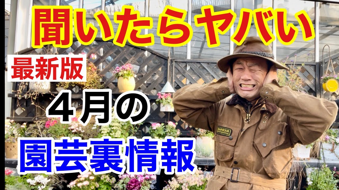 【悪魔の囁き】元店長が2022年4月の園芸裏情報バラします　　　【カーメン君】【園芸】【ガーデニング】【初心者】
