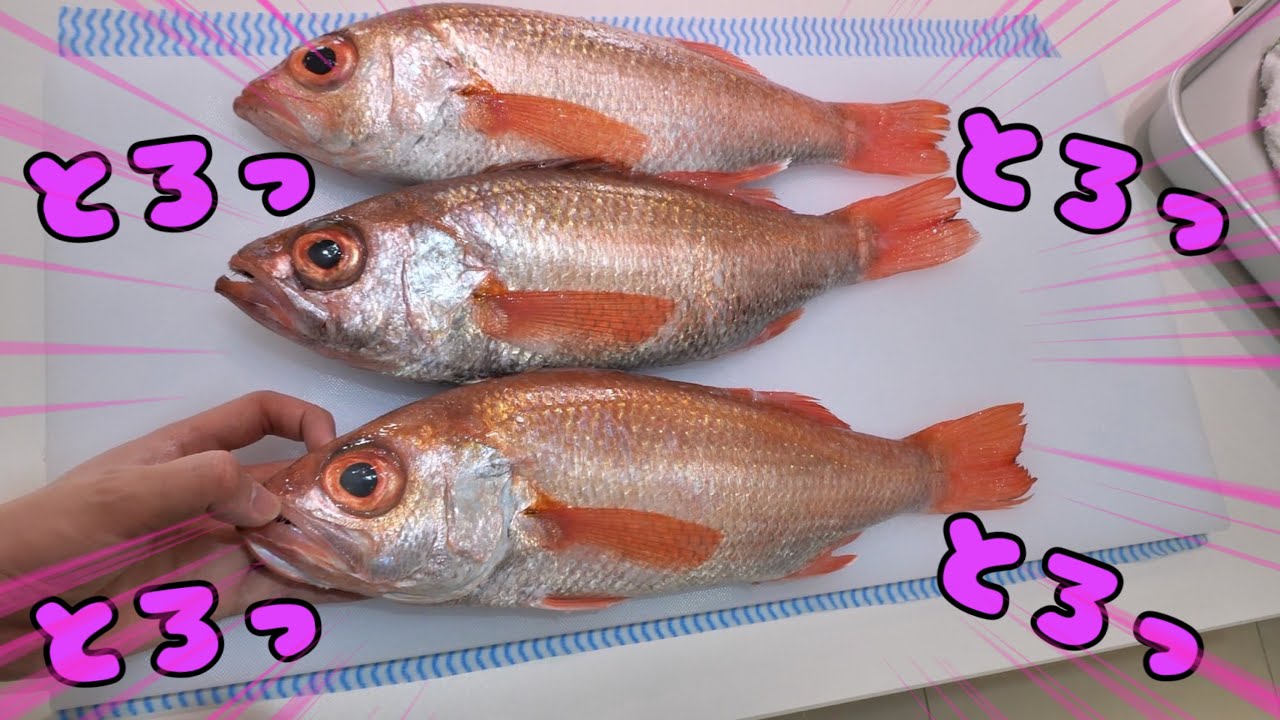 【白身の大トロ】のどぐろで最強の昼飯作ってみた。