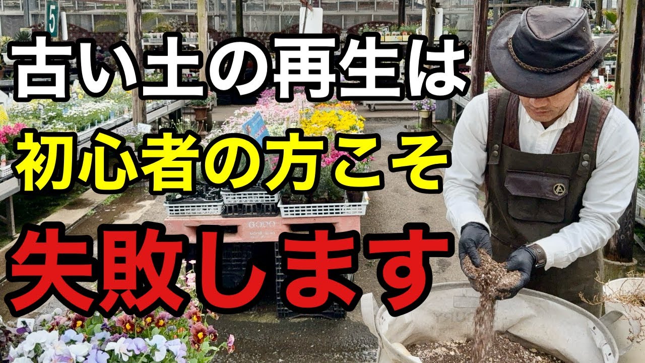 【裏知識】この材料を入れるとどんな土でもあっという間に再生します　　　【カーメン君】【園芸】【サカタのタネ】【パワフルシリカ】
