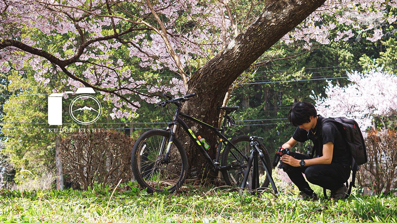 【風景写真】小さなお堂に咲く桜の大木｜EOSR6
