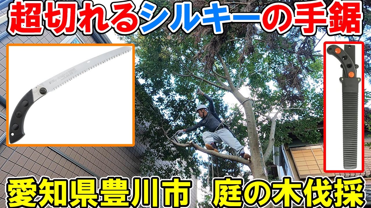 愛知県豊川市庭の木の伐採！超切れるSilky（シルキー）の手鋸　ゴム太郎2段切りとコムボーイ7カーブを空師カミヤが使うと