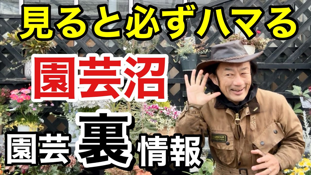 【マニア必見】園芸情報では出せなかった裏の裏情報を公開します　　【カーメン君】【園芸】【ガーデニング】【初心者】