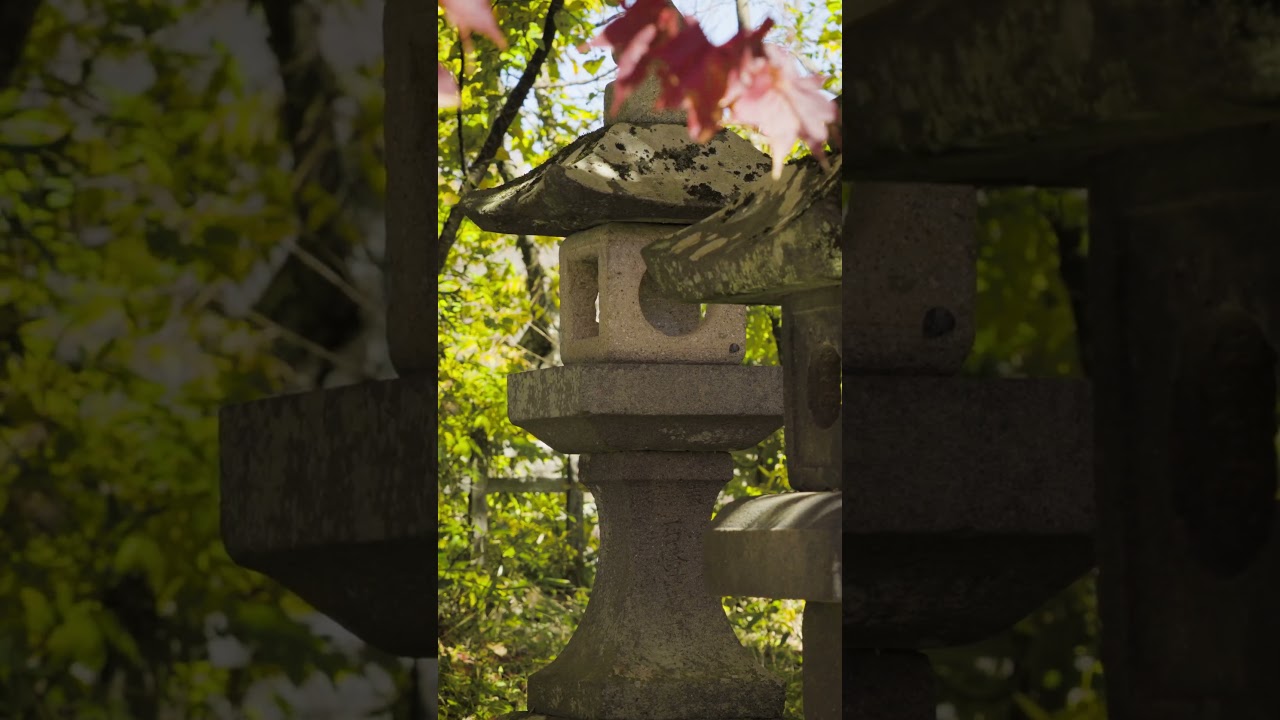 高遠城址公園の秋｜Takato Castle Ruins Park